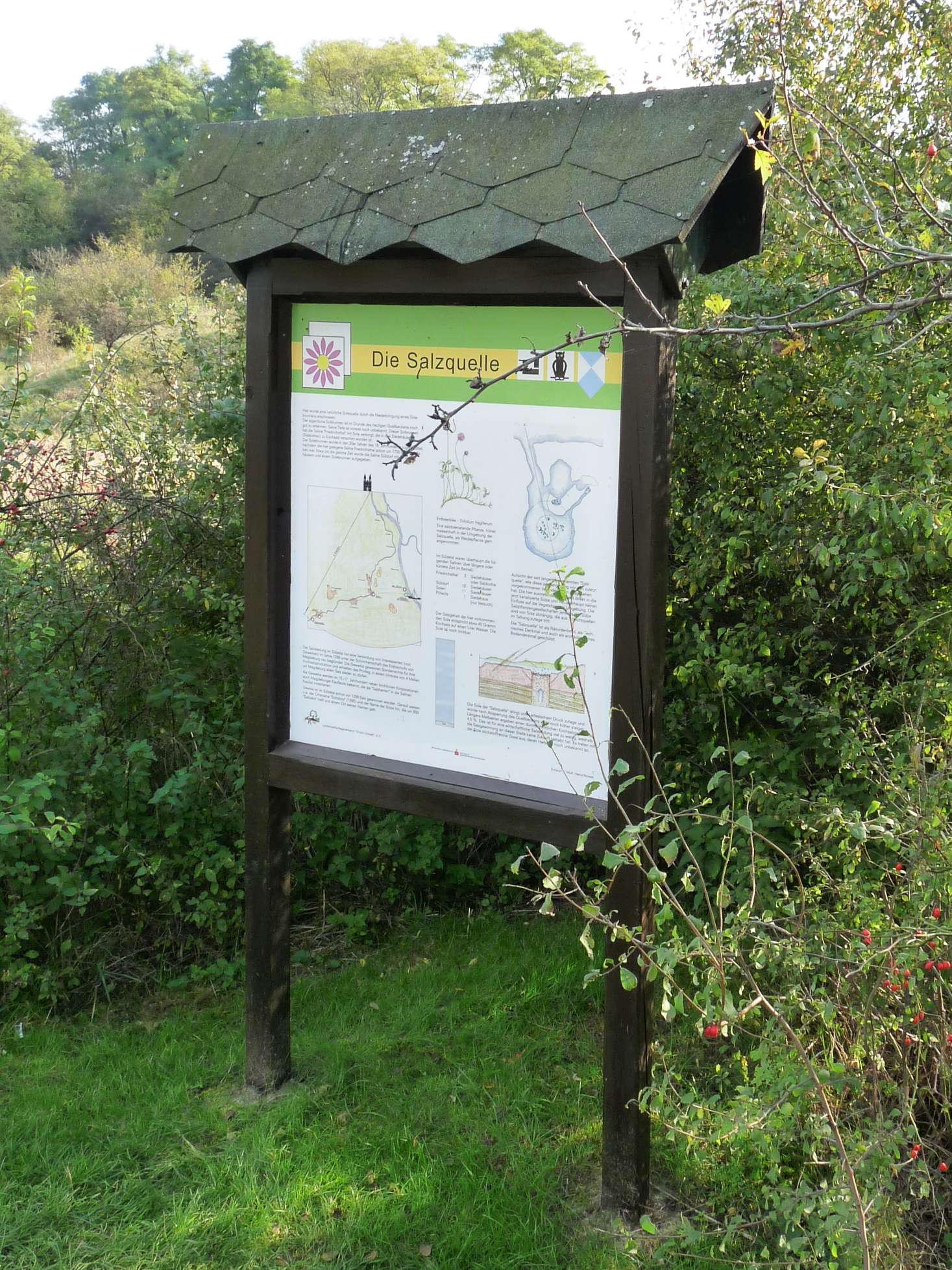 Lehrpfadschild Salzstellen bei Sülldorf 2010