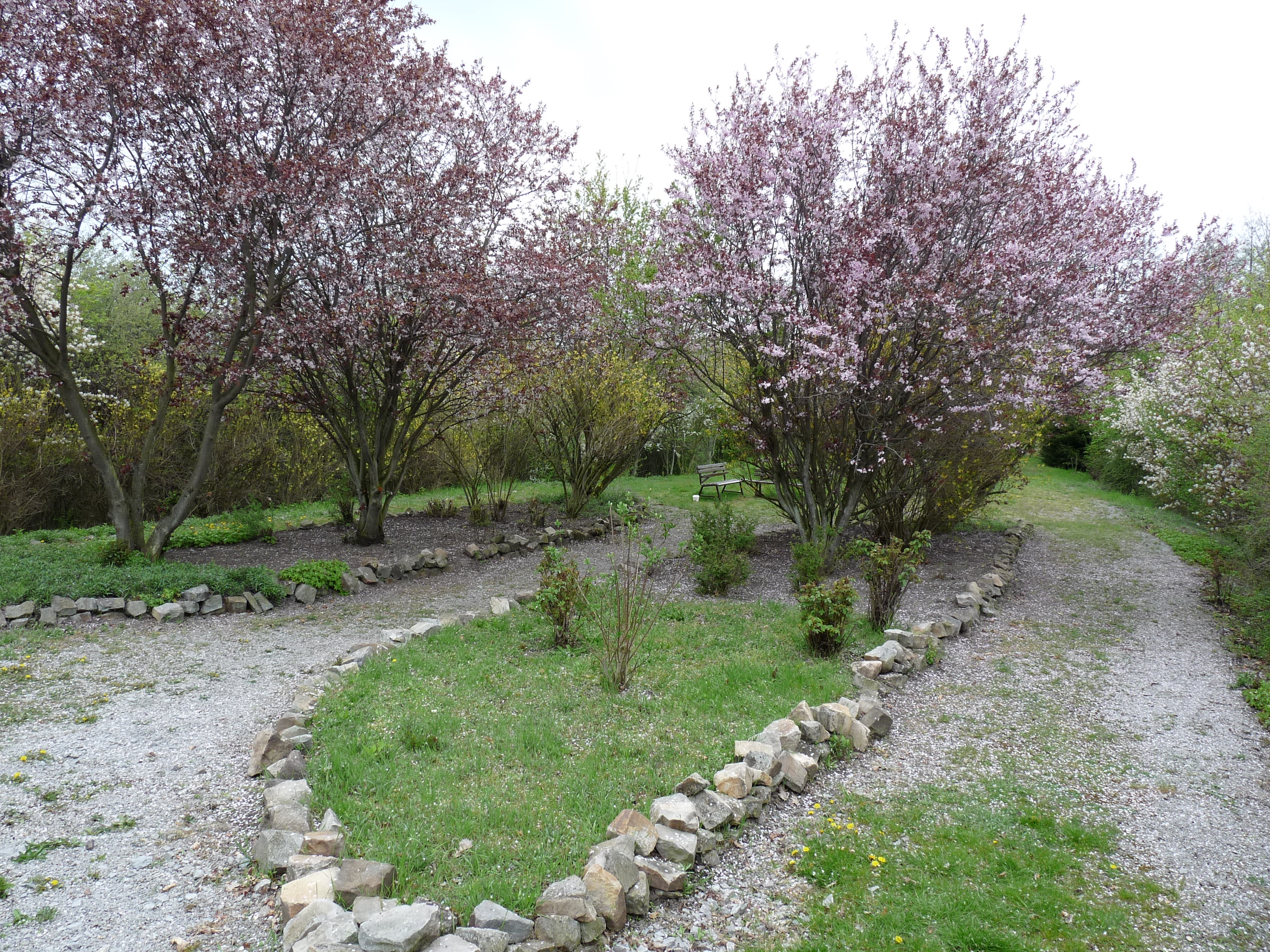 Rodelberg Altenweddingen 2010