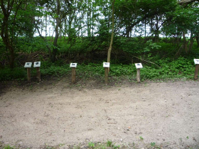 Sprunggrube für den Vergleich der Spuren von Mensch und ausgewählten Wildtieren