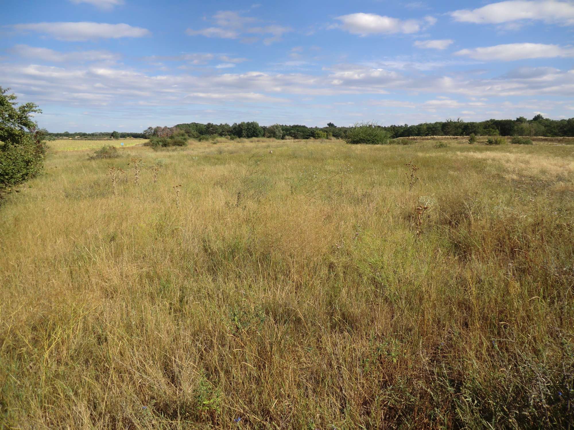 Ausgangszustand 2020