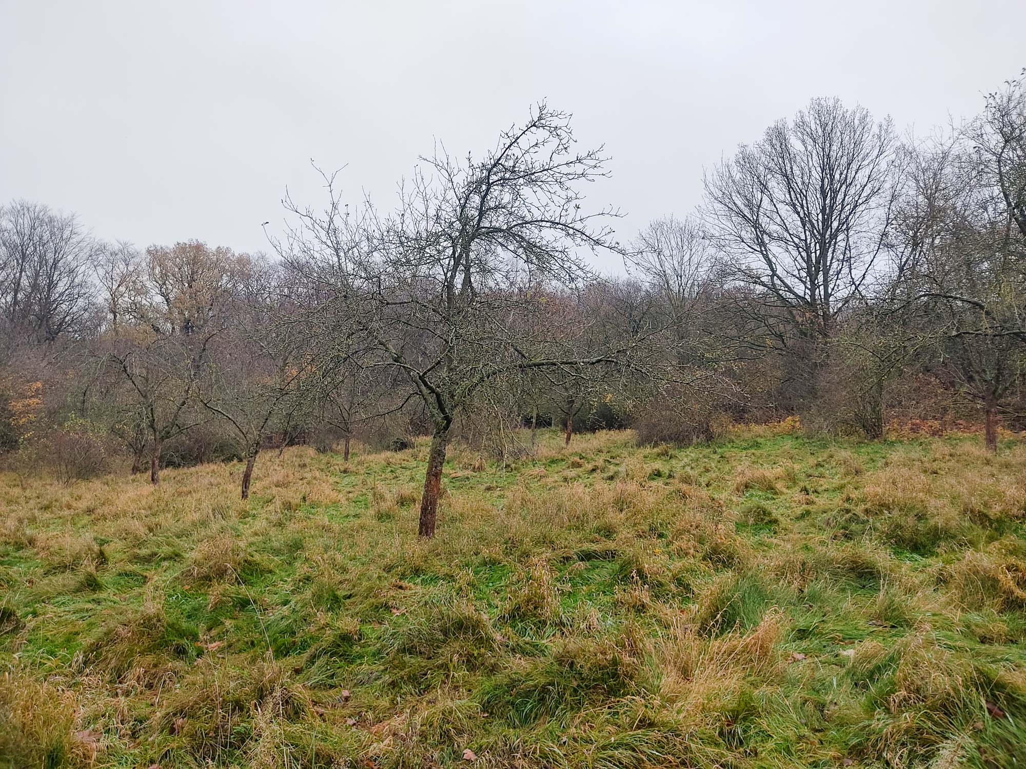 Endzustand November 2020