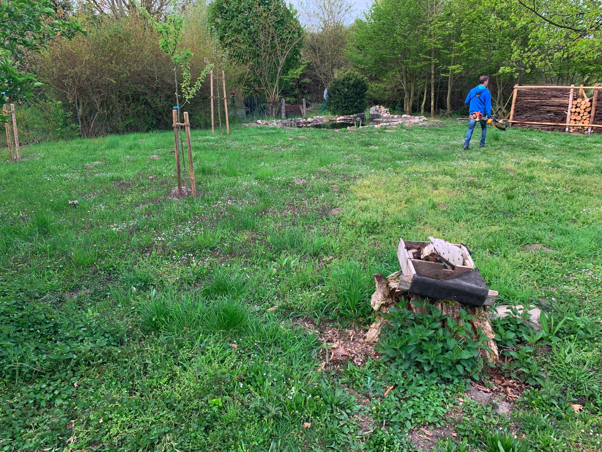 Arbeiten am Teich in Eilsleben 2022