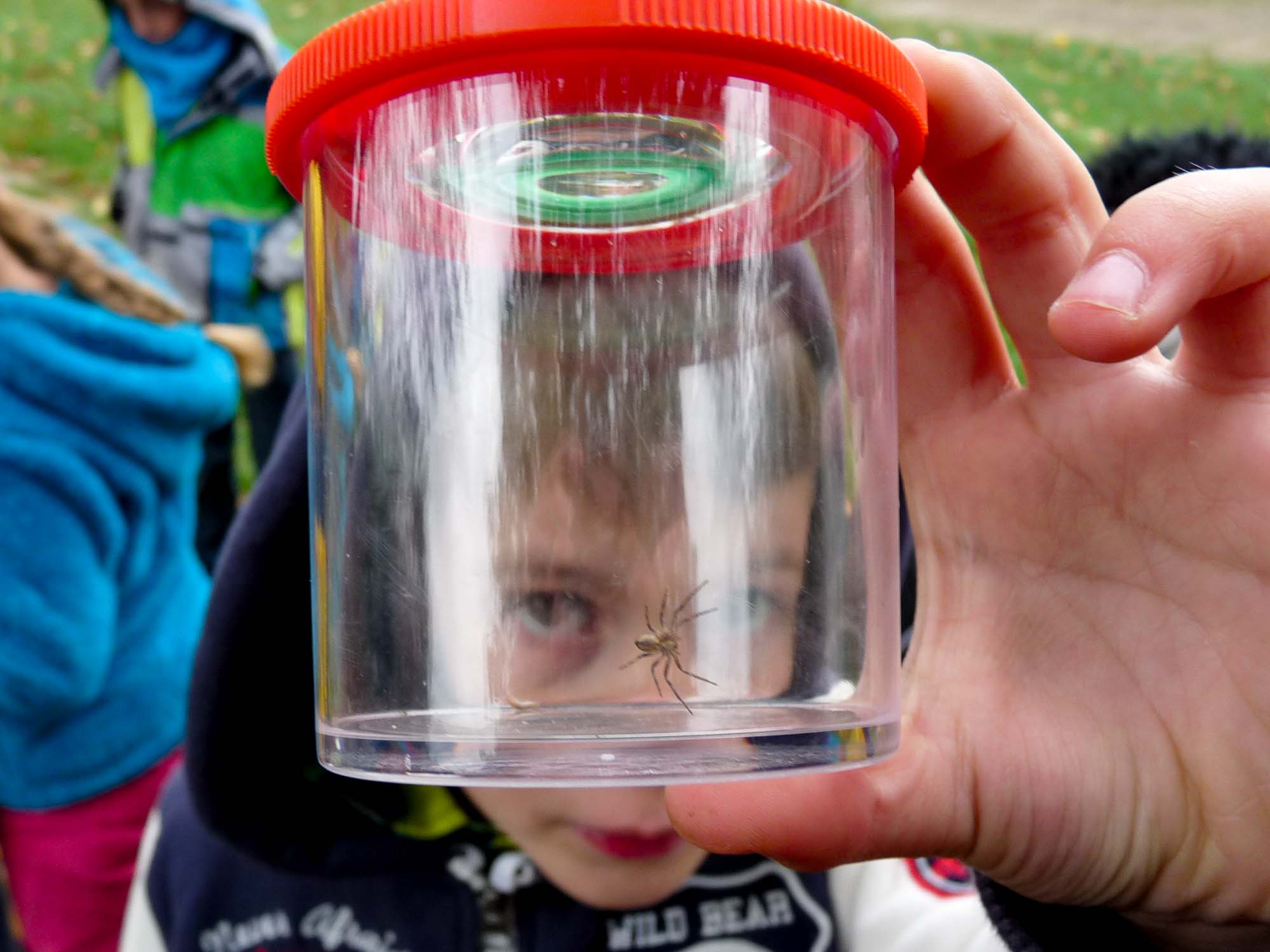 Projekttag Grundschule Altenweddingen 22.10.2014